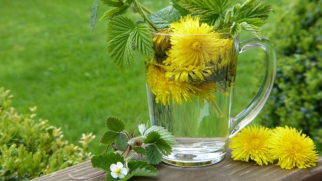 Dandelion Tee