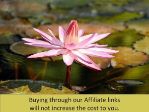water-lily Affiliate notice 1